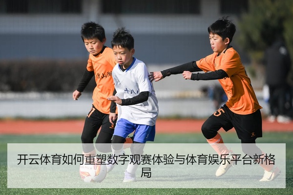 开云体育如何重塑数字观赛体验与体育娱乐平台新格局